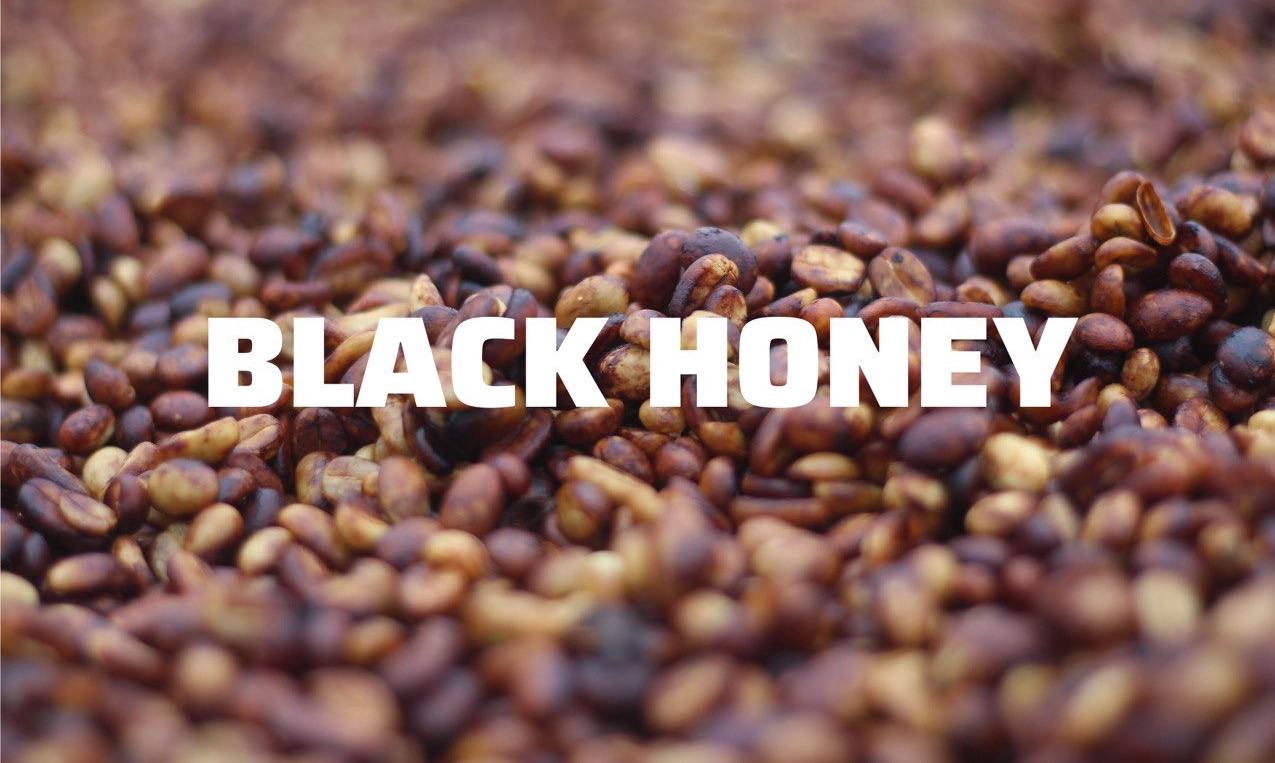 Black Honey Coffee