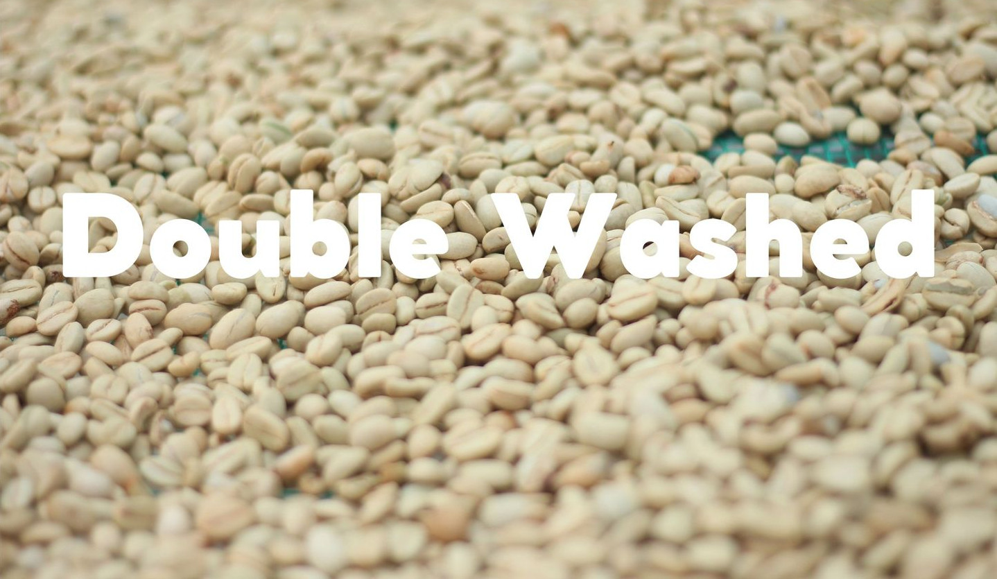 Double Washed Coffee