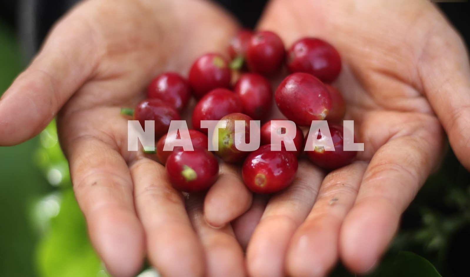 Natural Process Coffee
